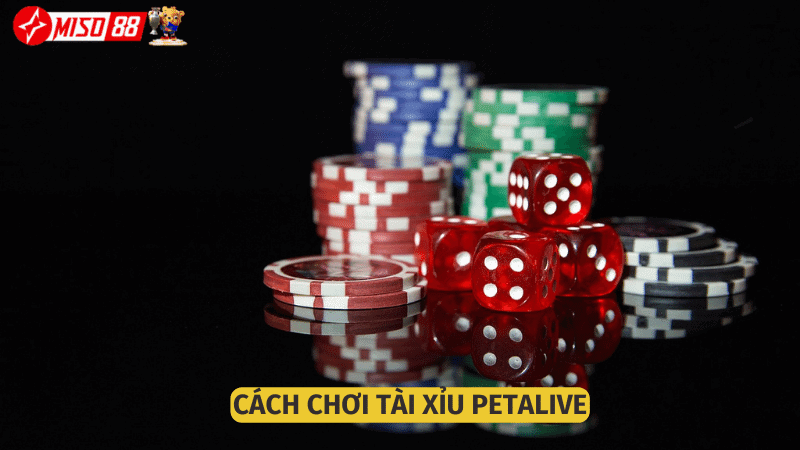 Tai Xiu Miso88 2024 6777F0E087778